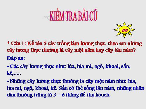 Bài 5. Kính lúp, kính hiển vi và cách sử dụng