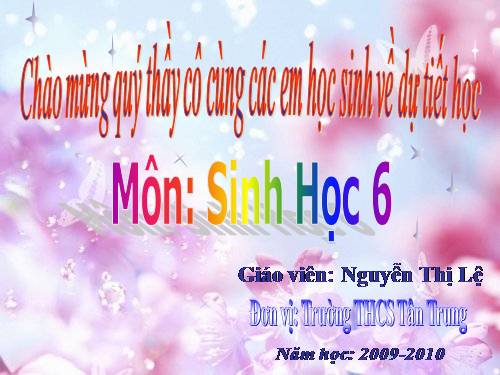 Bài 27. Sinh sản sinh dưỡng do người