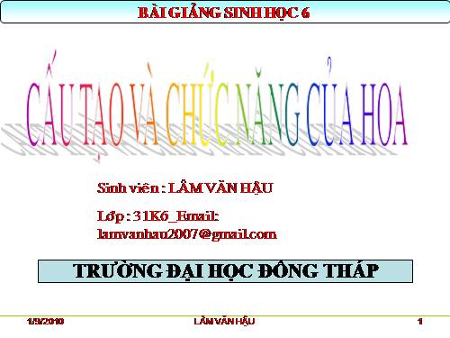 Bài 28. Cấu tạo và chức năng của hoa