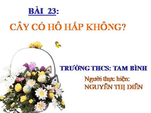 Bài 23. Cây có hô hấp không?