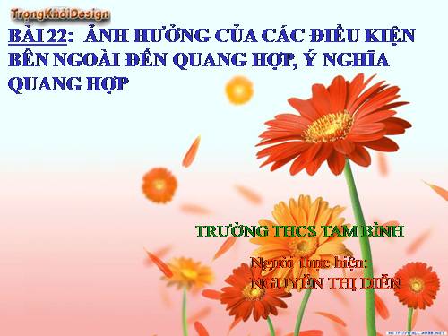 Bài 22. Ảnh hưởng của các điều kiện bên ngoài đến quang hợp, ý nghĩa của quang hợp