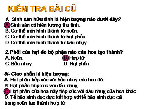 Bài 32. Các loại quả