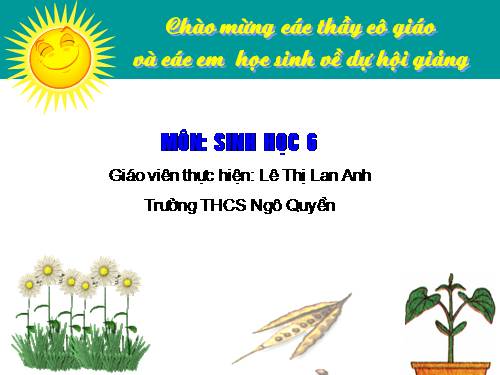 Bài 33. Hạt và các bộ phận của hạt