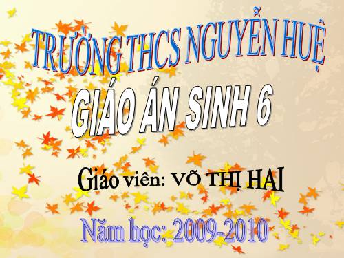 Bài 21. Quang hợp