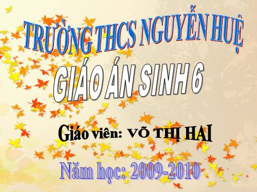 Bài 21. Quang hợp