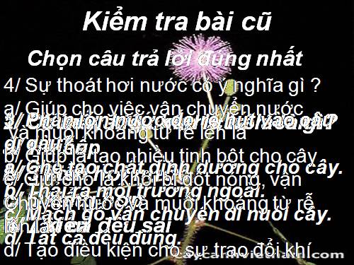 Bài 25. Biến dạng của lá