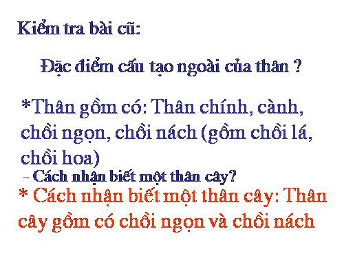 Bài 18. Biến dạng của thân