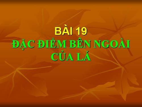 Bài 19. Đặc điểm bên ngoài của lá