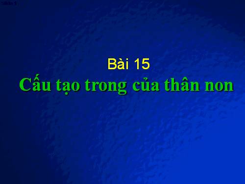 Bài 15. Cấu tạo trong của thân non