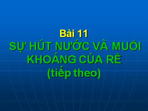 Bài 11. Sự hút nước và muối khoáng của rễ