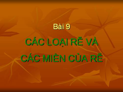 Bài 9. Các loại rễ, các miền của rễ