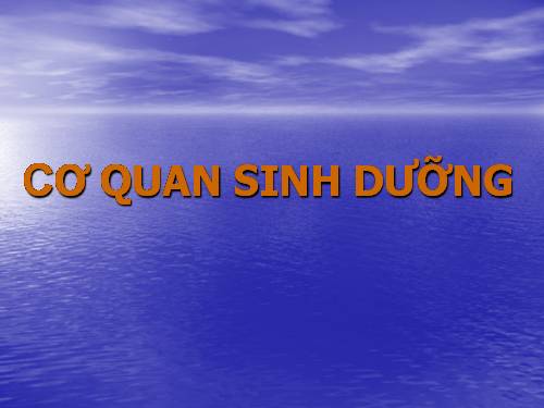 co quan sinh duong