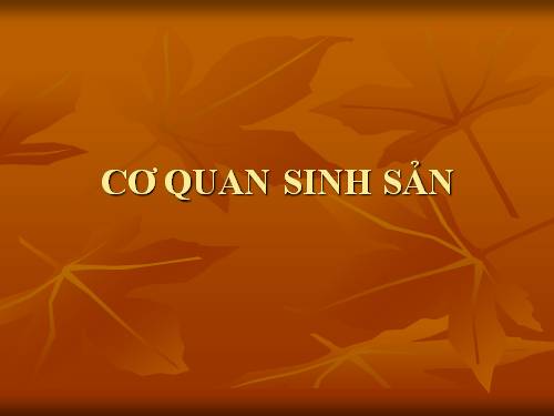 co quan sinh san