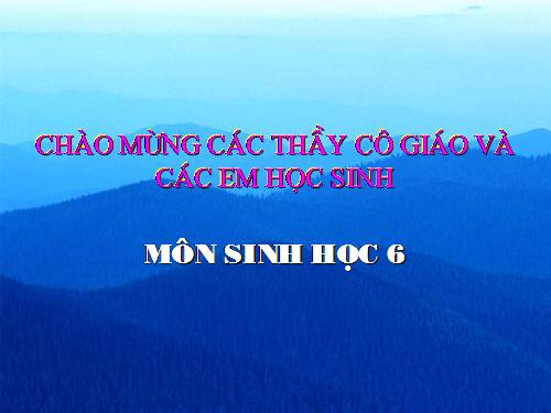 Bài 15. Cấu tạo trong của thân non