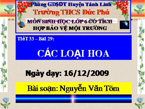 Bài 29. Các loại hoa