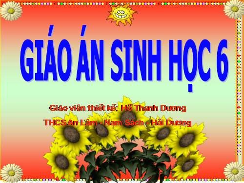 Bài 22. Ảnh hưởng của các điều kiện bên ngoài đến quang hợp, ý nghĩa của quang hợp