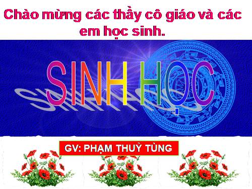 Sh6- ôn tập HK1