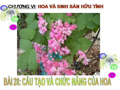 Bài 28. Cấu tạo và chức năng của hoa