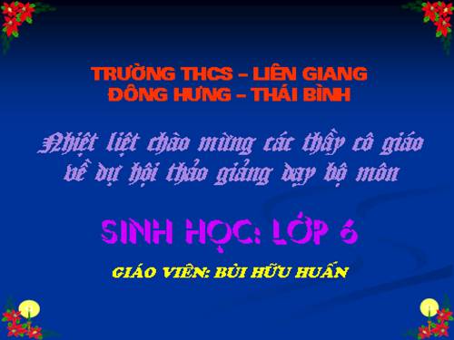 Bài 46. Thực vật góp phần điều hoà khí hậu