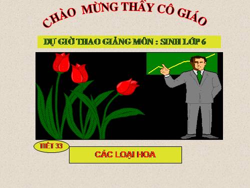 Bài 29. Các loại hoa