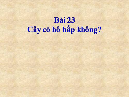 Bài 23. Cây có hô hấp không?