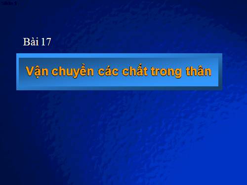 Bài 17. Vận chuyển các chất trong thân