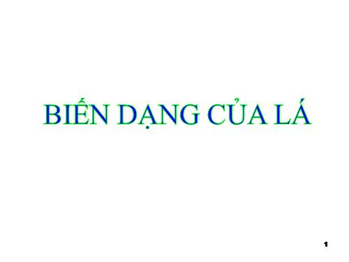 Bài 25. Biến dạng của lá