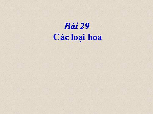 Bài 29. Các loại hoa