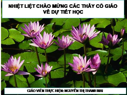 Bài 36. Tổng kết về cây có hoa