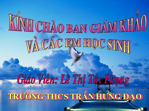 Bài 24. Phần lớn nước vào cây đi đâu?