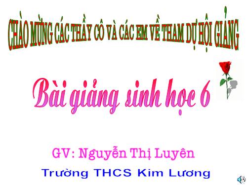 Bài 22. Ảnh hưởng của các điều kiện bên ngoài đến quang hợp, ý nghĩa của quang hợp