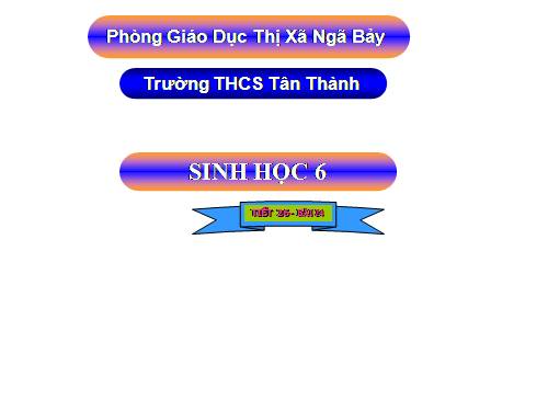 Bài 24. Phần lớn nước vào cây đi đâu?