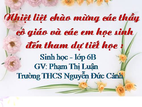 Bài 19. Đặc điểm bên ngoài của lá