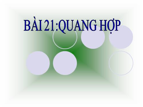 Bài 21. Quang hợp