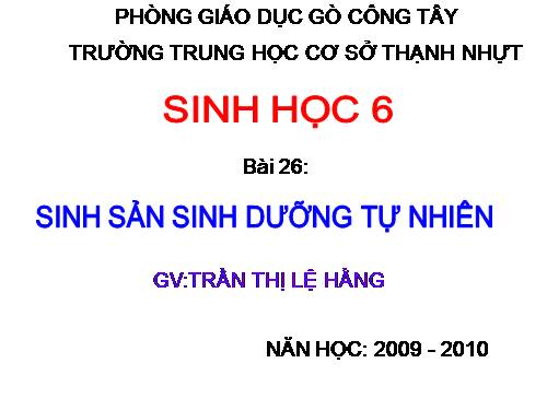 Bài 26. Sinh sản sinh dưỡng tự nhiên