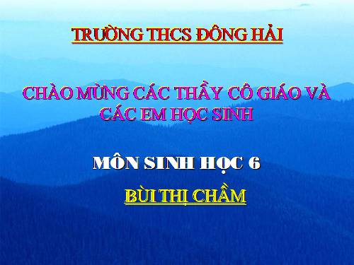 Bài 15. Cấu tạo trong của thân non