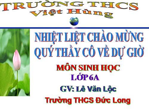 Bài 21. Quang hợp