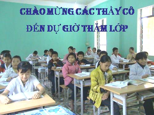 Bài 24. Phần lớn nước vào cây đi đâu?