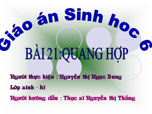 Bài 21. Quang hợp