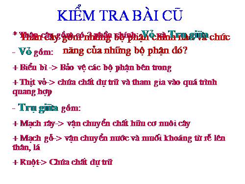 Bài 17. Vận chuyển các chất trong thân