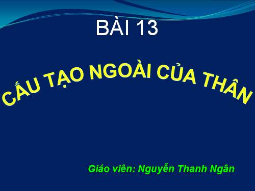 Bài 13. Cấu tạo ngoài của thân