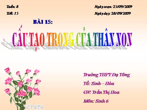 Bài 15. Cấu tạo trong của thân non