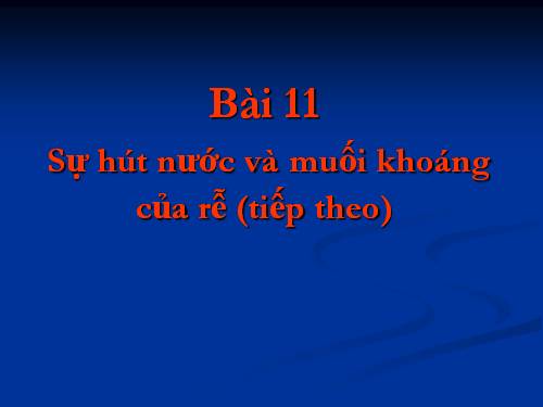 Bài 11. Sự hút nước và muối khoáng của rễ