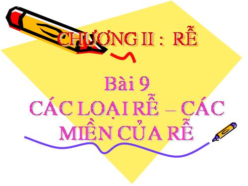 Bài 9. Các loại rễ, các miền của rễ