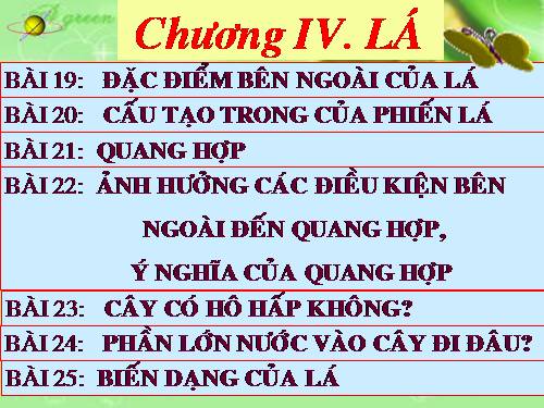 Bài 19. Đặc điểm bên ngoài của lá