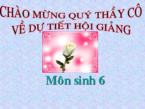 Bài 18. Biến dạng của thân