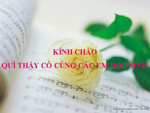 Bài 41. Hạt kín - Đặc điểm của thực vật Hạt kín