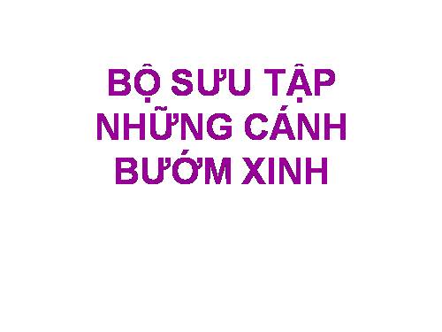 "BÚM" đẹp cực kỳ nè!mở ra mà xem.hàng hót đấy!!