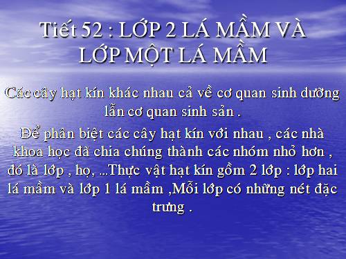 Bài 42. Lớp Hai lá mầm và lớp Một lá mầm