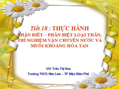 Tiết 18- TH PB loại thân, VC nước và MK hòa tan